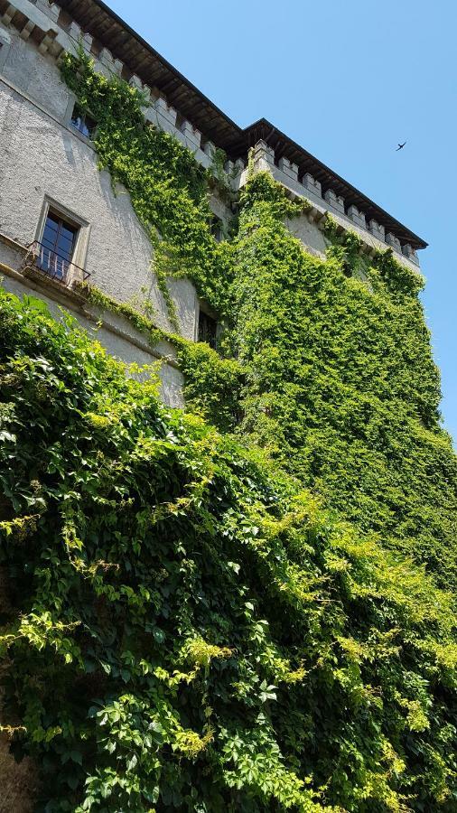 Loft Giuly Apartman Vignanello Kültér fotó