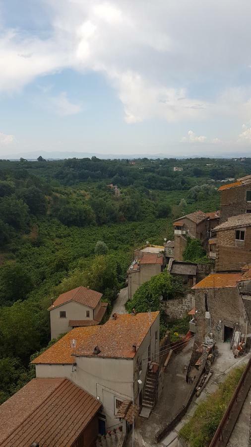 Loft Giuly Apartman Vignanello Kültér fotó