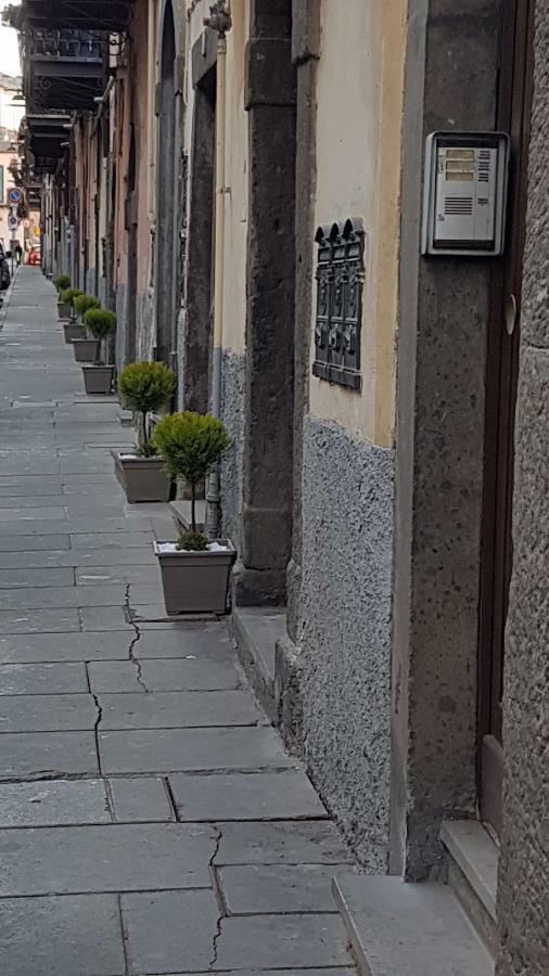 Loft Giuly Apartman Vignanello Kültér fotó